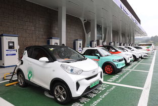 原來如此，莫拉萊斯敗在這件事上 我國新能源汽車電附件領域應盡快應對